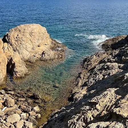 Sarnella, *